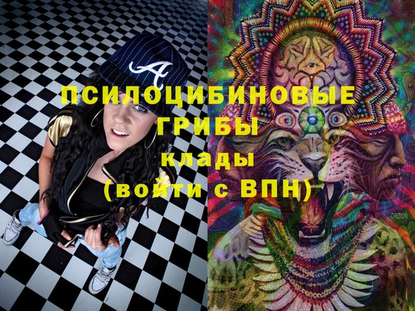 наркотики Новозыбков
